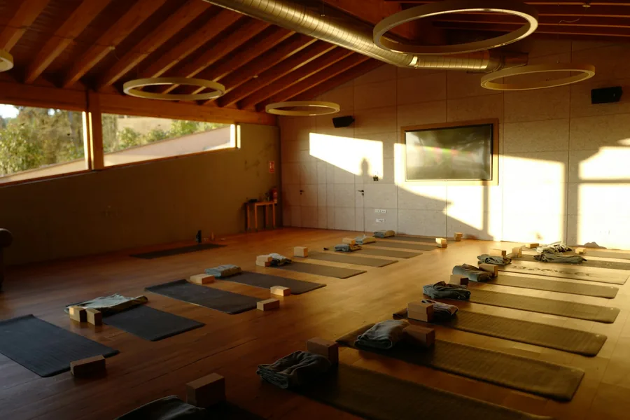A warm yoga studio with rows of mats on a wood floor in low sunlight